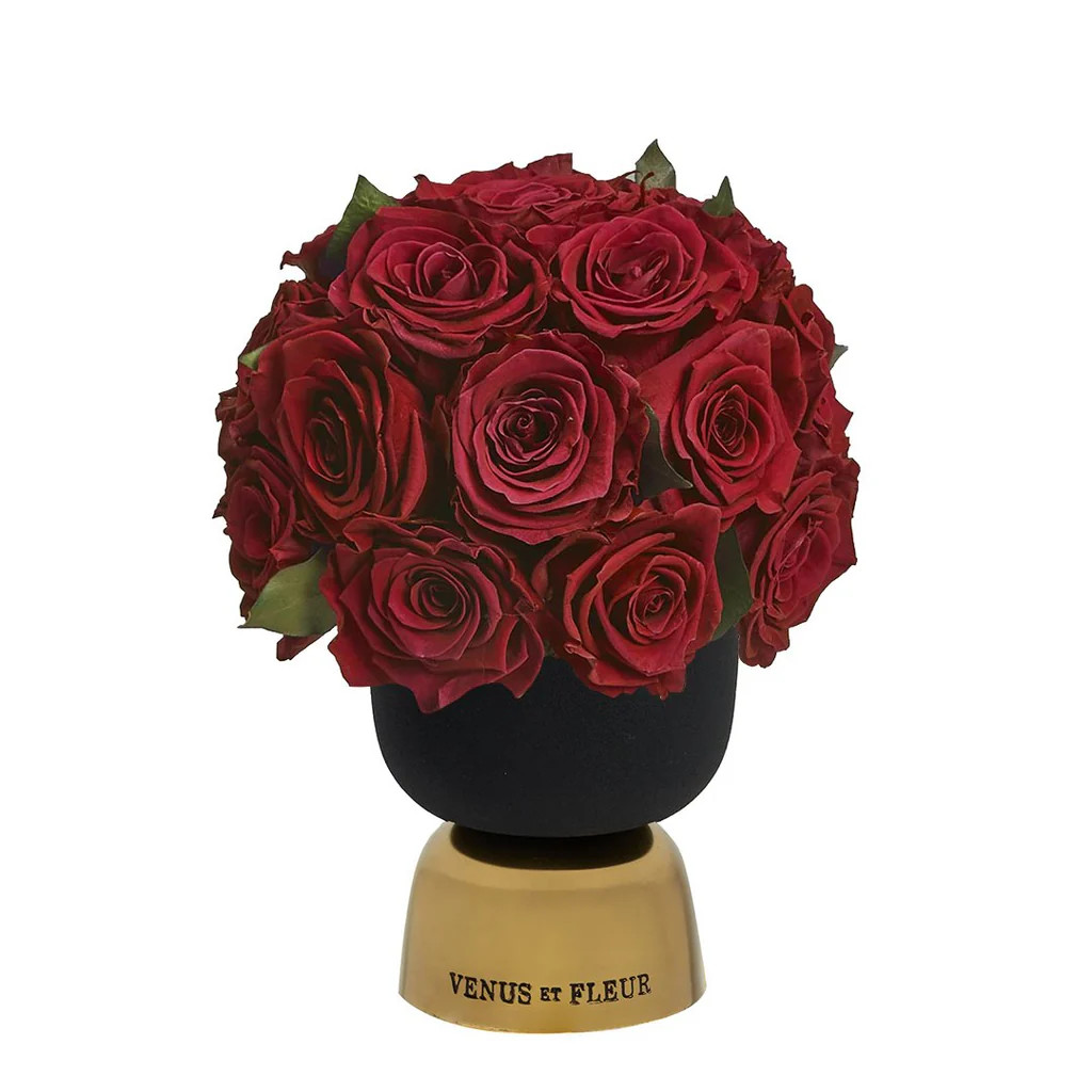 Feu Cast Iron Vase | Venus ET Fleur