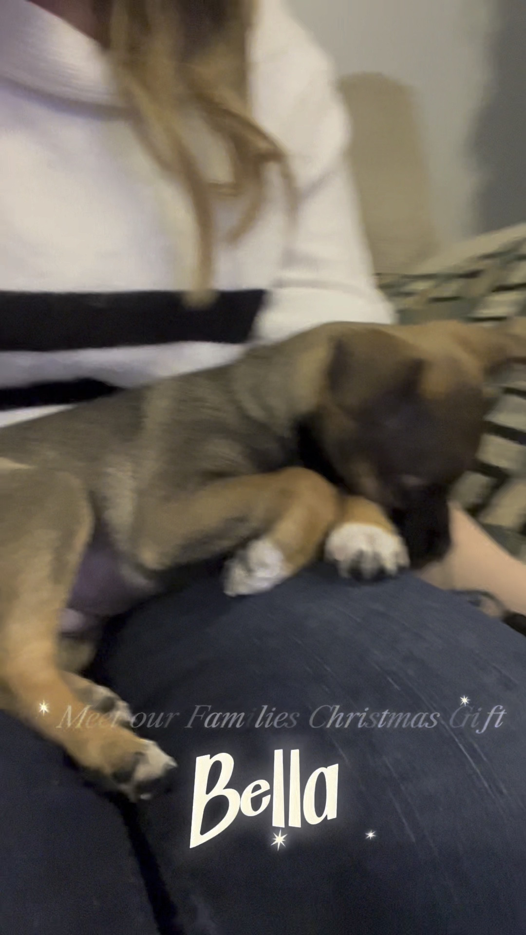 Bella is our families new family member.  She is the perfect addition and so glad we adopted her from one of our local shelters. 

Coming from the shelter they weren’t sure what all she has in her. So I started doing some research and found @basepaws had the answers I was looking for. 

I’m so excited for the results. What do you think she has in her? 
.
.
.
#stylistshayna #adopted #puppylife #DNA #dnatesting #welcomehome #petlovers #petstagram #petsfamily #furbaby #basepaws

#LTKSeasonal #LTKVideo #LTKfamily