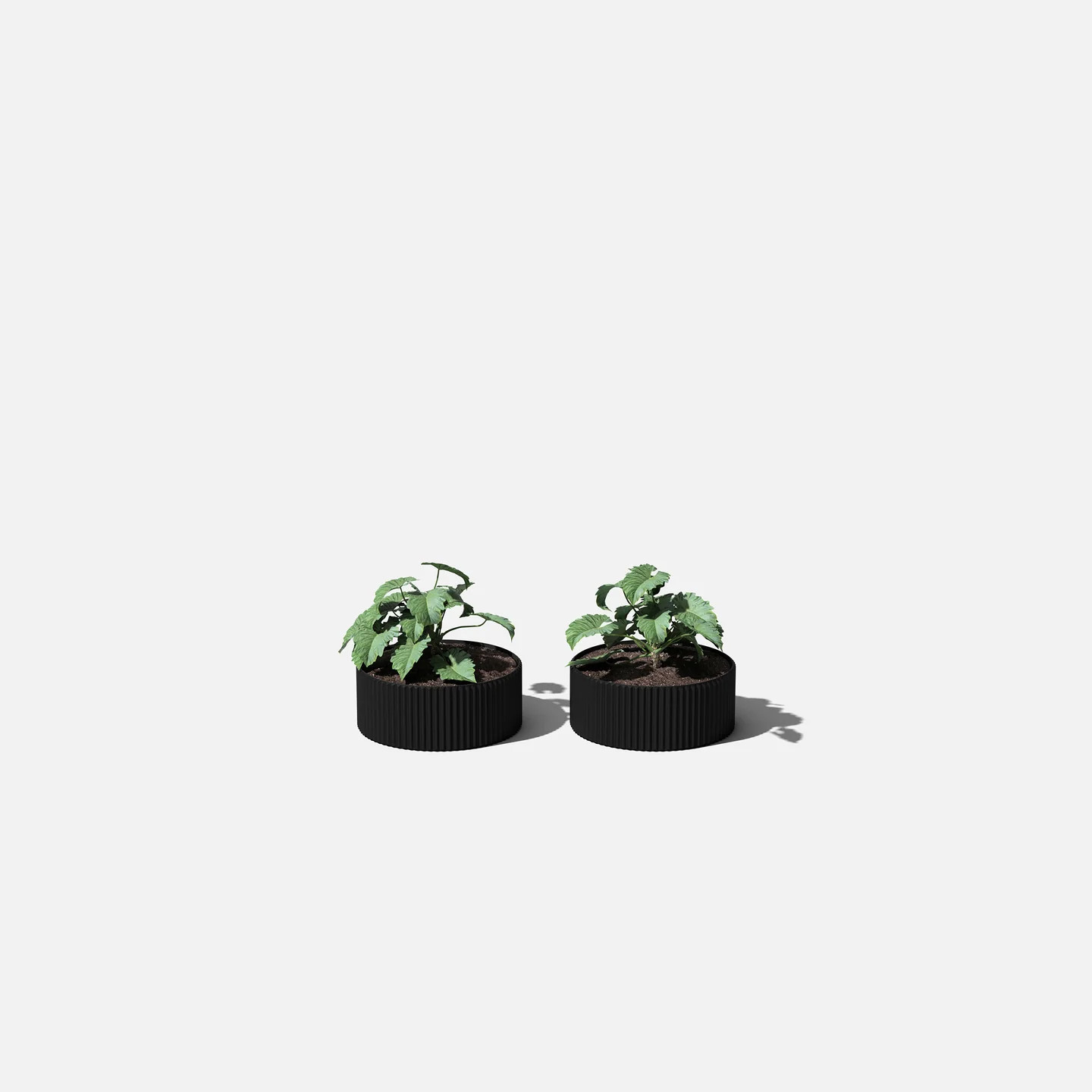 mod bowl planter duo | Veradek