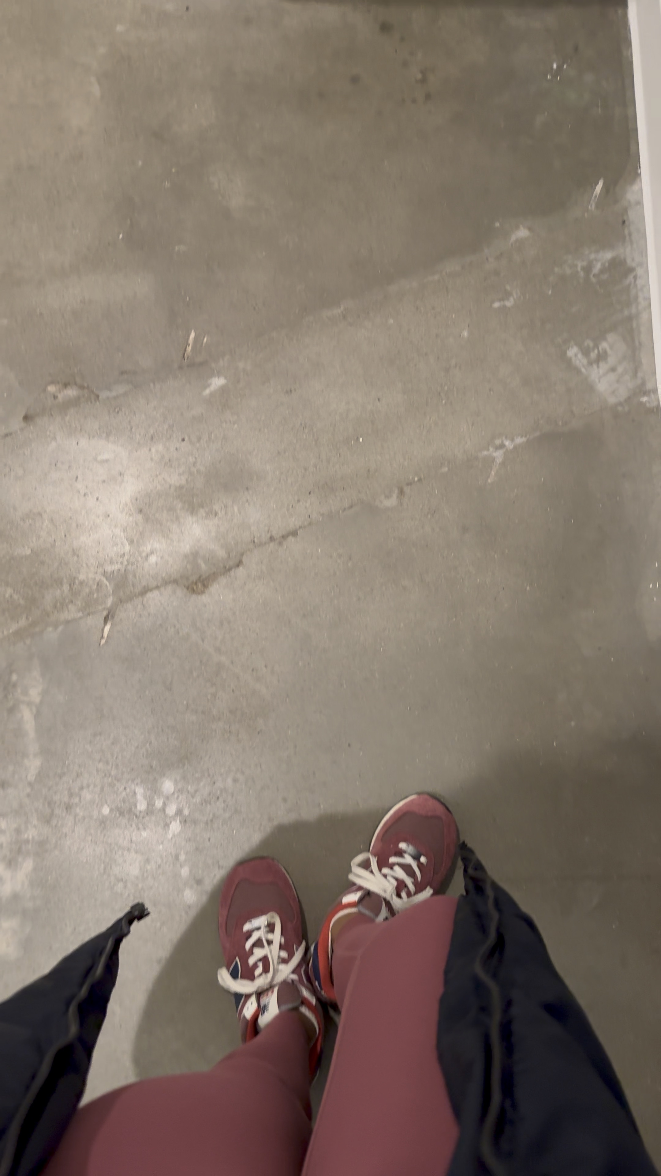 In motion👟

#LTKShoeCrush #LTKActive #LTKWatchNow