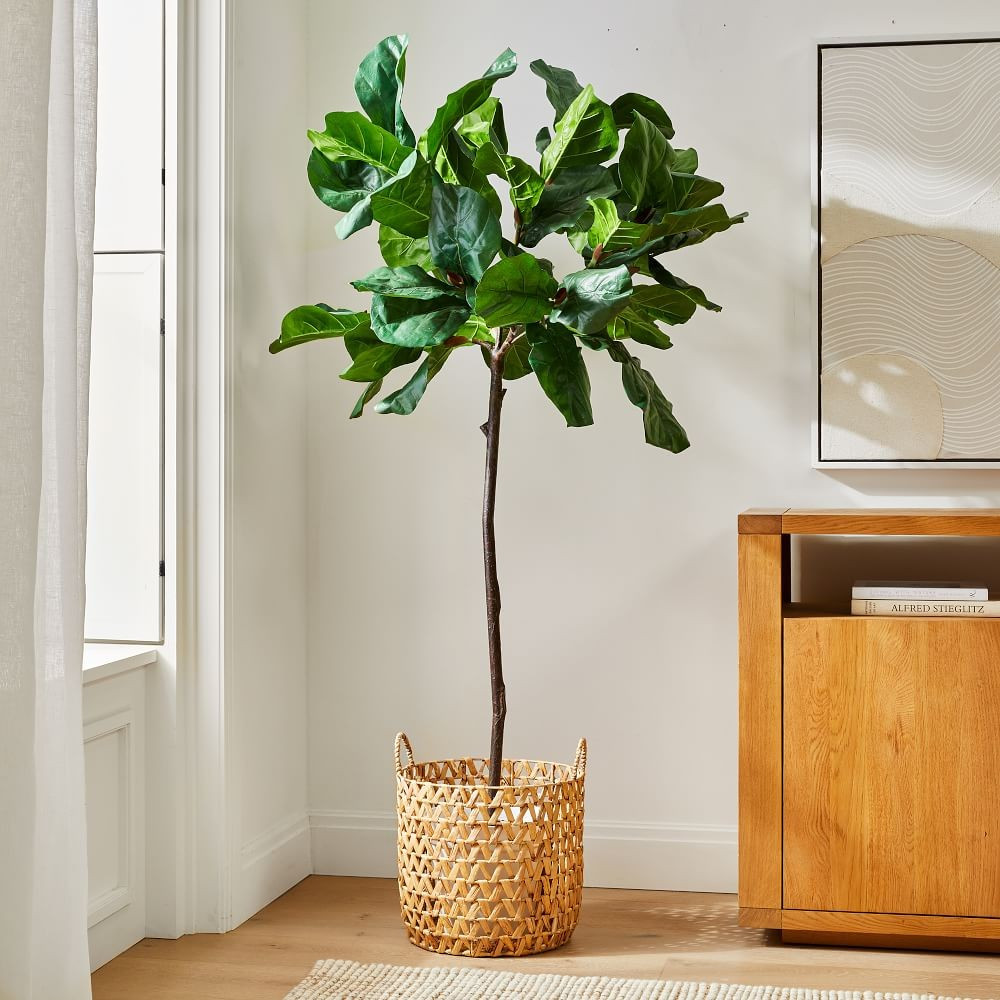 Faux 7' Fiddle Leaf Fig Tree &amp; Open Weave Zig Zag Basket Planter Set | West Elm (US)
