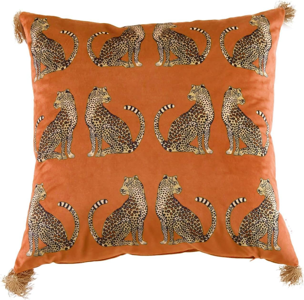 Fall Velvet Decorative Leopard Throw Pillow Covers with Tassels | Amazon (US)