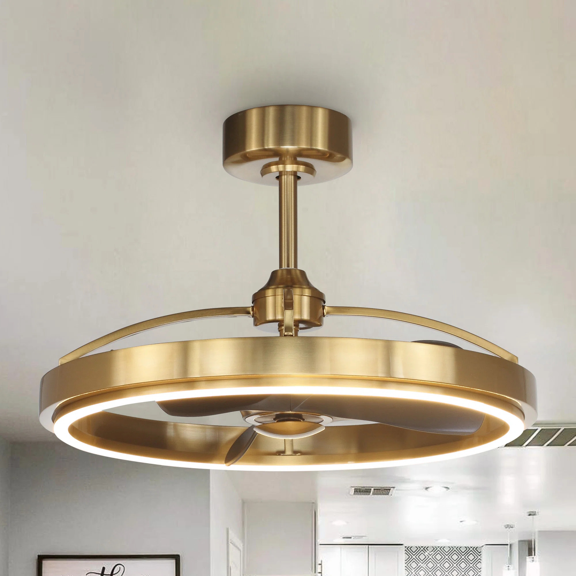 Brayden Studio® 27.5" 3 - Blade Caged Ceiling Fan With LED Lights And Remote Control Included & ... | Wayfair North America