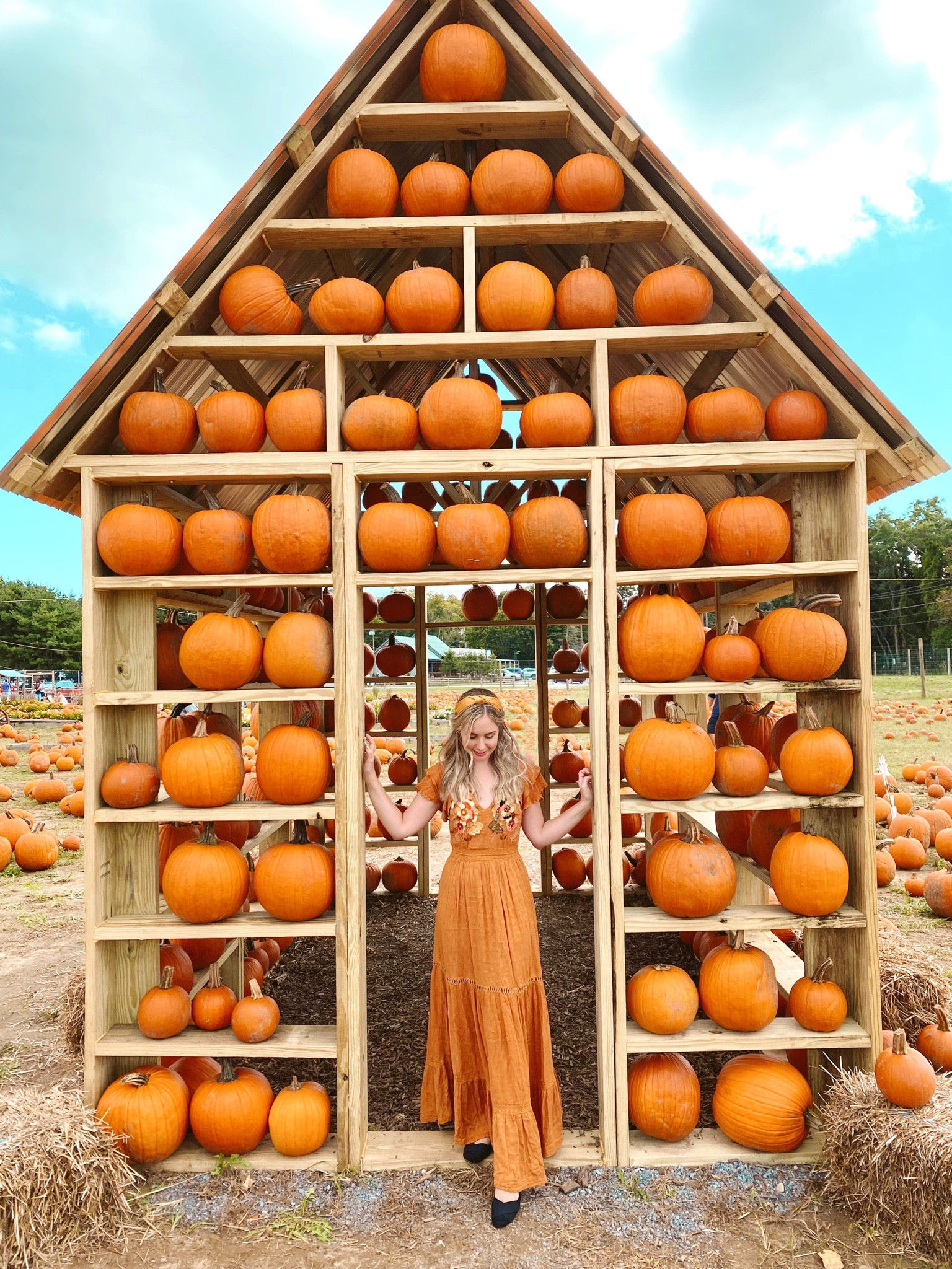 Pumpkin patch match! 