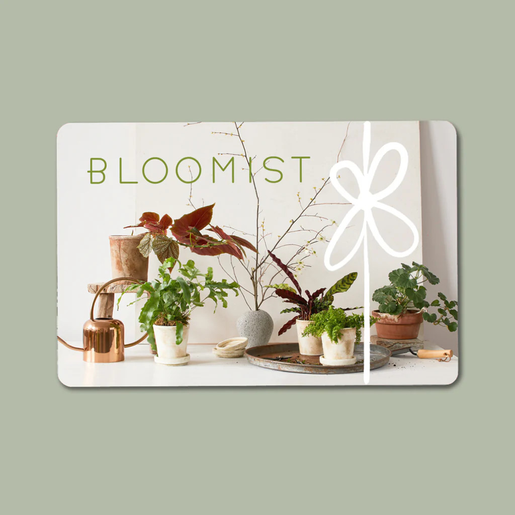 Bloomist E-Gift Card | Bloomist