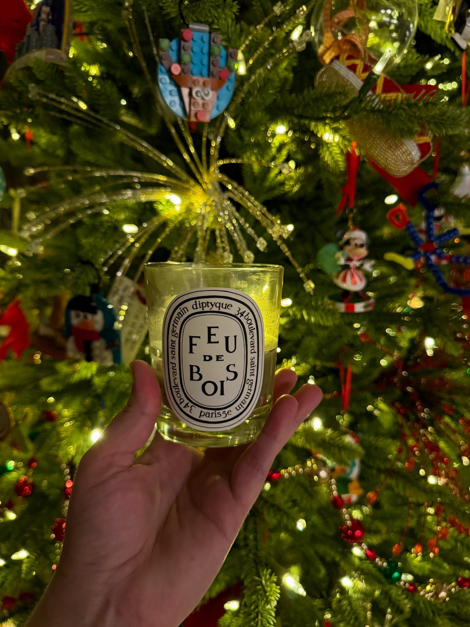 We are not getting a white Christmas (or anything close for that matter. This year, in Oklahoma, it will be 77 degrees. 🙃

I will not be lighting my fireplace. Instead, I will be reaching for this FEU DE BOIS (WOOD FIRE)
Classic Candle from Diptyque. 🕯️

This is my husband’s favorite cozy candle. It reminds me of a weekend in a cabin with a burning wood fire, without all of the isolation and hard work 🤣.

#LTKGiftGuide #LTKHoliday #LTKMens