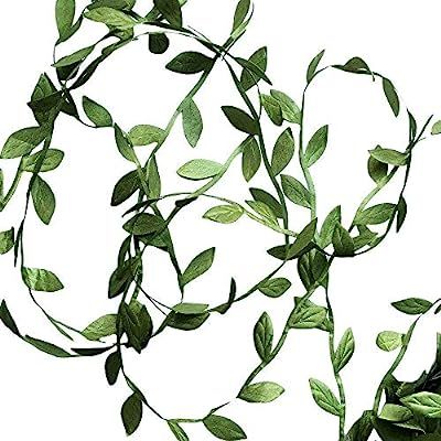 Sewing Trim Embellishments Lace Ribbon-Hecaty 44 Yards Greek Olive Green Leaf for DIY Craft Baby ... | Amazon (US)