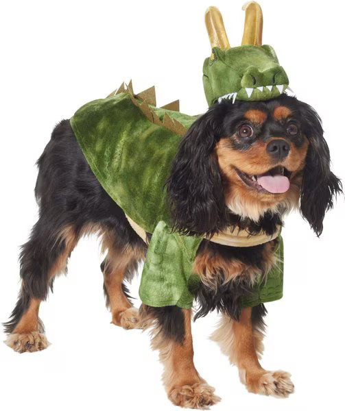Marvel 's Loki Alligator Dog & Cat Costume | Chewy.com