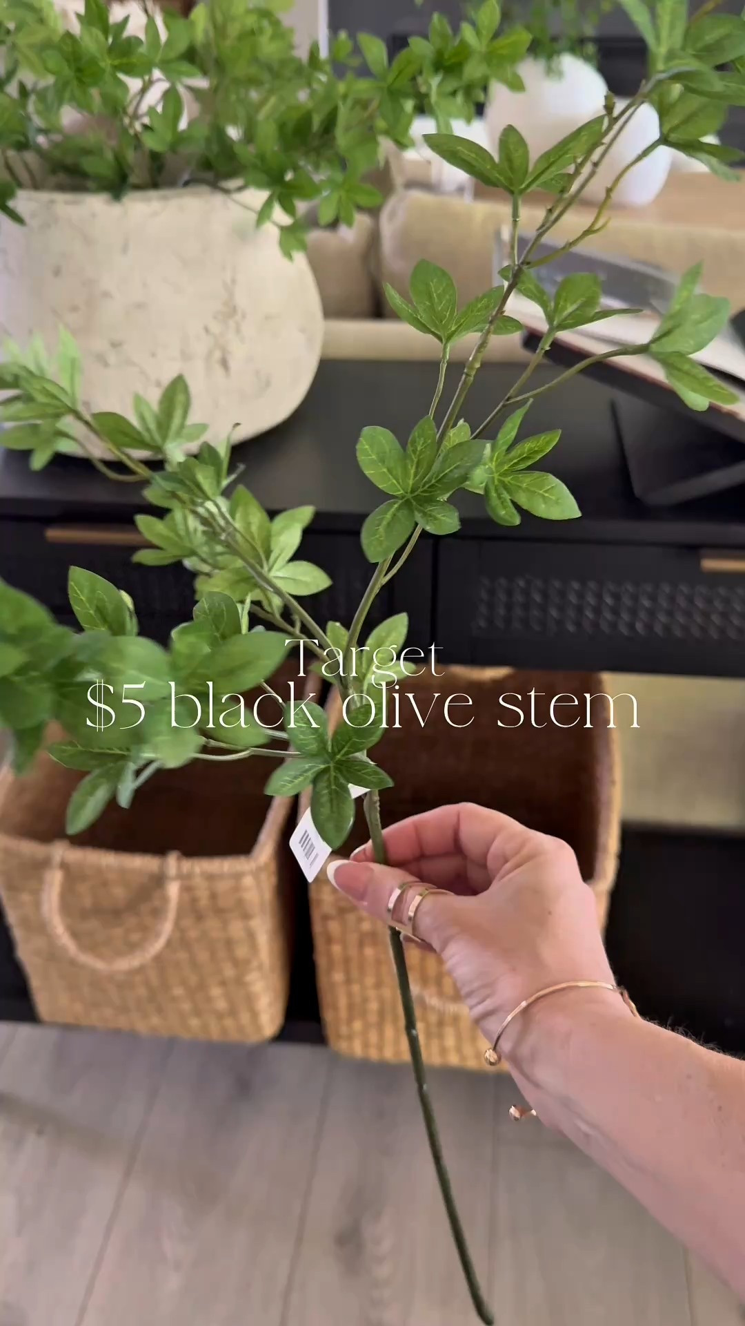 New at Target! A perfect Spring/Summer stem. Cute and very budget friendly! 
A black olive branch has a smaller and daintier leaf than a regular olive branch (and no olives) Love the fresh look! 
I have 6 in this vase. 
Target find, spring decor, console styling 