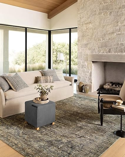 Loloi Amber Lewis Morgan 7'-3" x 9'-3" Area Rug in Spice/Lagoon - Large Area Rug, Neutral Area Ru... | Amazon (US)