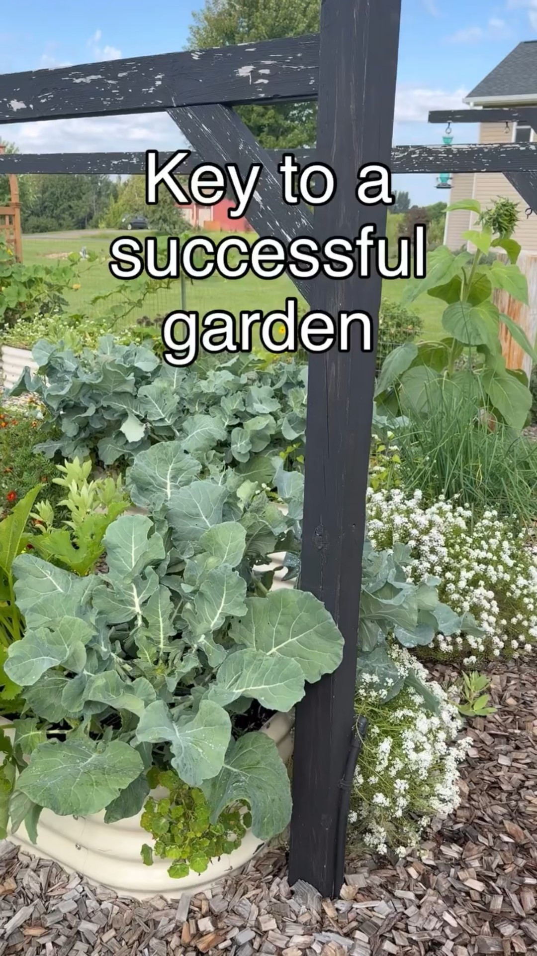 A successful garden doesn’t happen by accident.
I plan and strategize every inch before planting—and that prep is what makes all the difference. 🌱 

Join me this winter to plan for next seasons harvest. 

Happy planning! 

#gardening #raisedbedgardening #gardenplanning