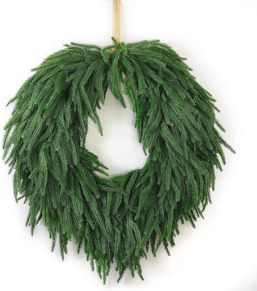 24" Norfolk Pine Christmas Wreath for Front Door – Large Artificial Greenery Wreath for Wall, P... | Amazon (US)