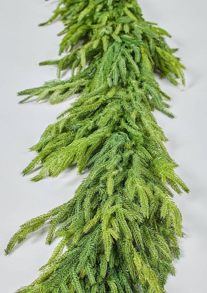 Afloral Real Touch Deluxe Norfolk Pine Garland - 70" | Amazon (US)