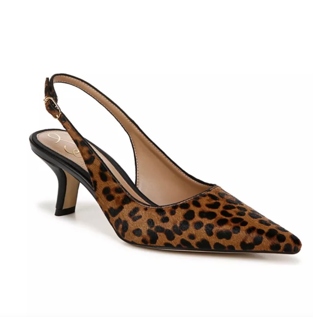 My go to leopard sling backs are on major sale!!!

#LTKOver40 #LTKSaleAlert #LTKWorkwear