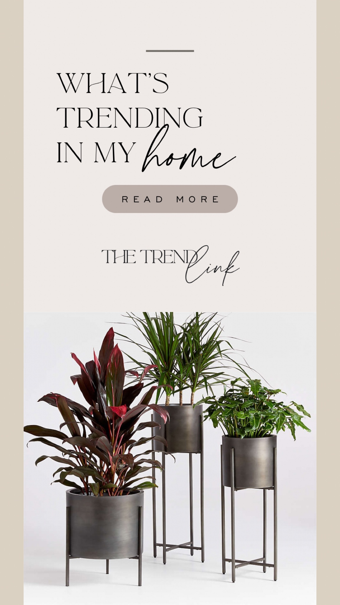 What’s trending in my home this week  

#LTKstyletip #LTKhome #LTKSeasonal