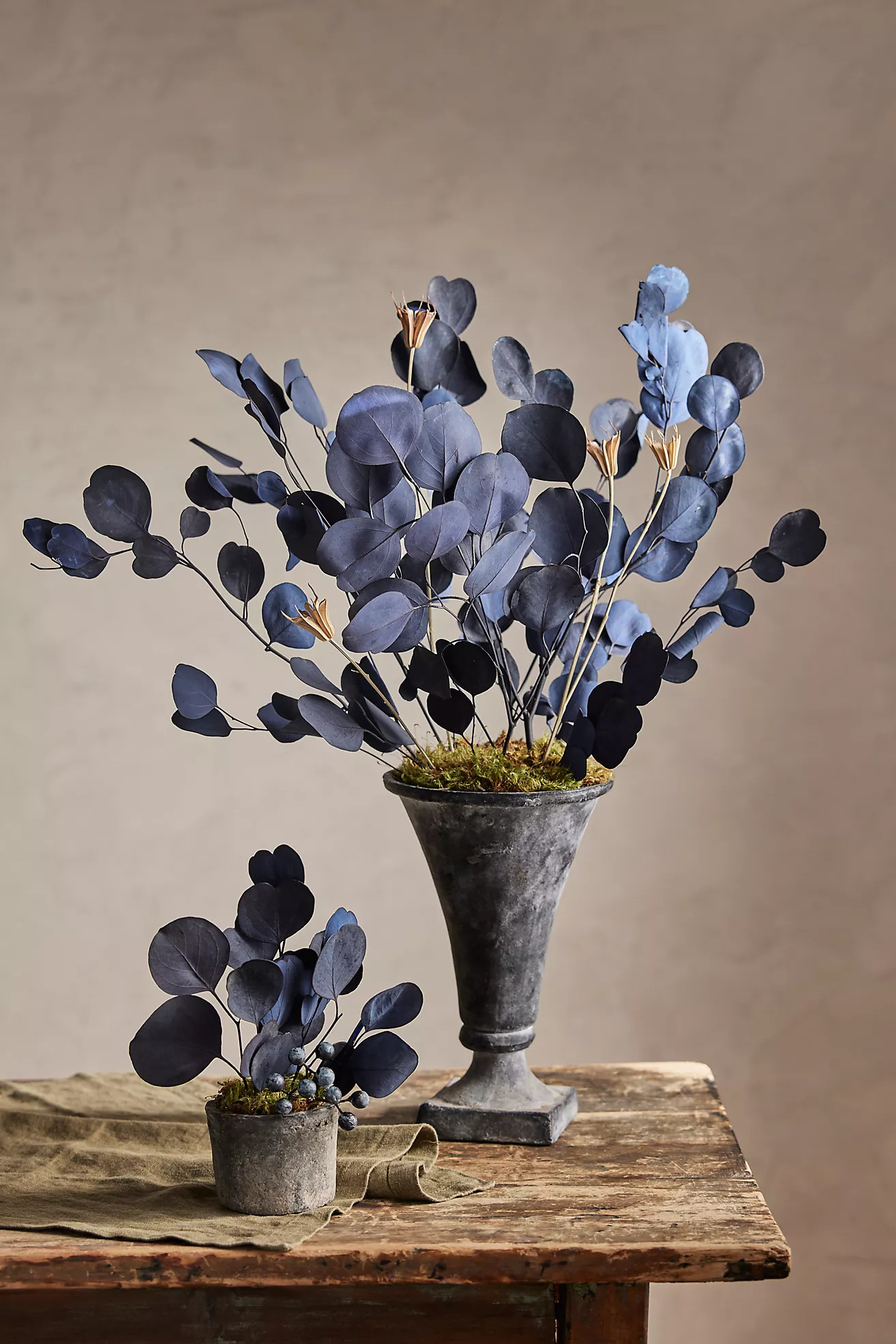 Preserved Eucalyptus Populus Bunch, Blue | Anthropologie (US)