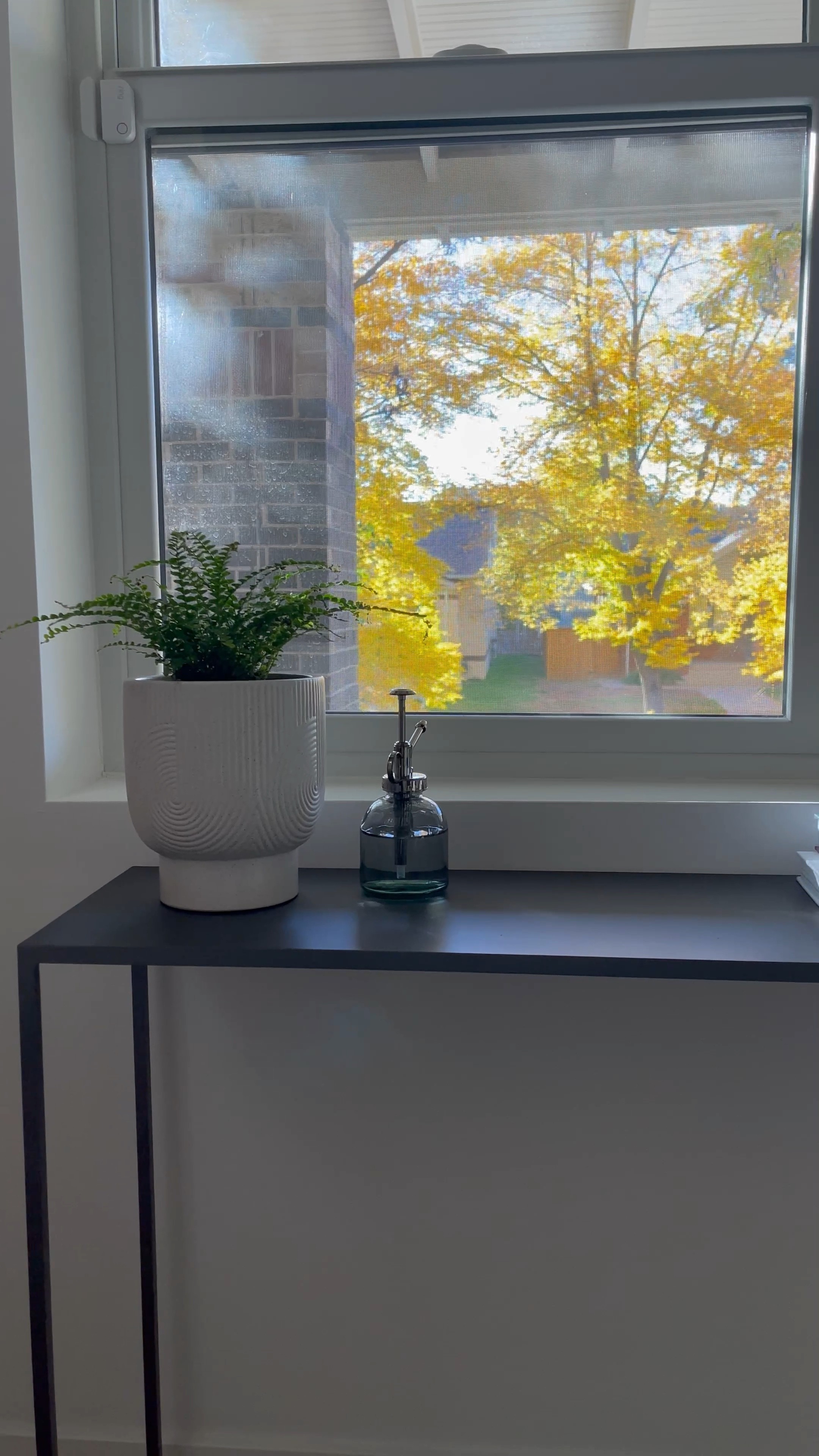 Simple console table and clean, modern decor for a smaller space. 

#LTKunder100 #LTKSeasonal #LTKhome