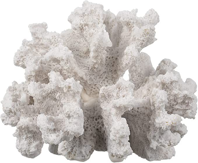 Decorative Sea Coral - White Medium Coral - 3.5in T x 4.5in W x 4in D - Faux Coral Reef Décor - ... | Amazon (US)