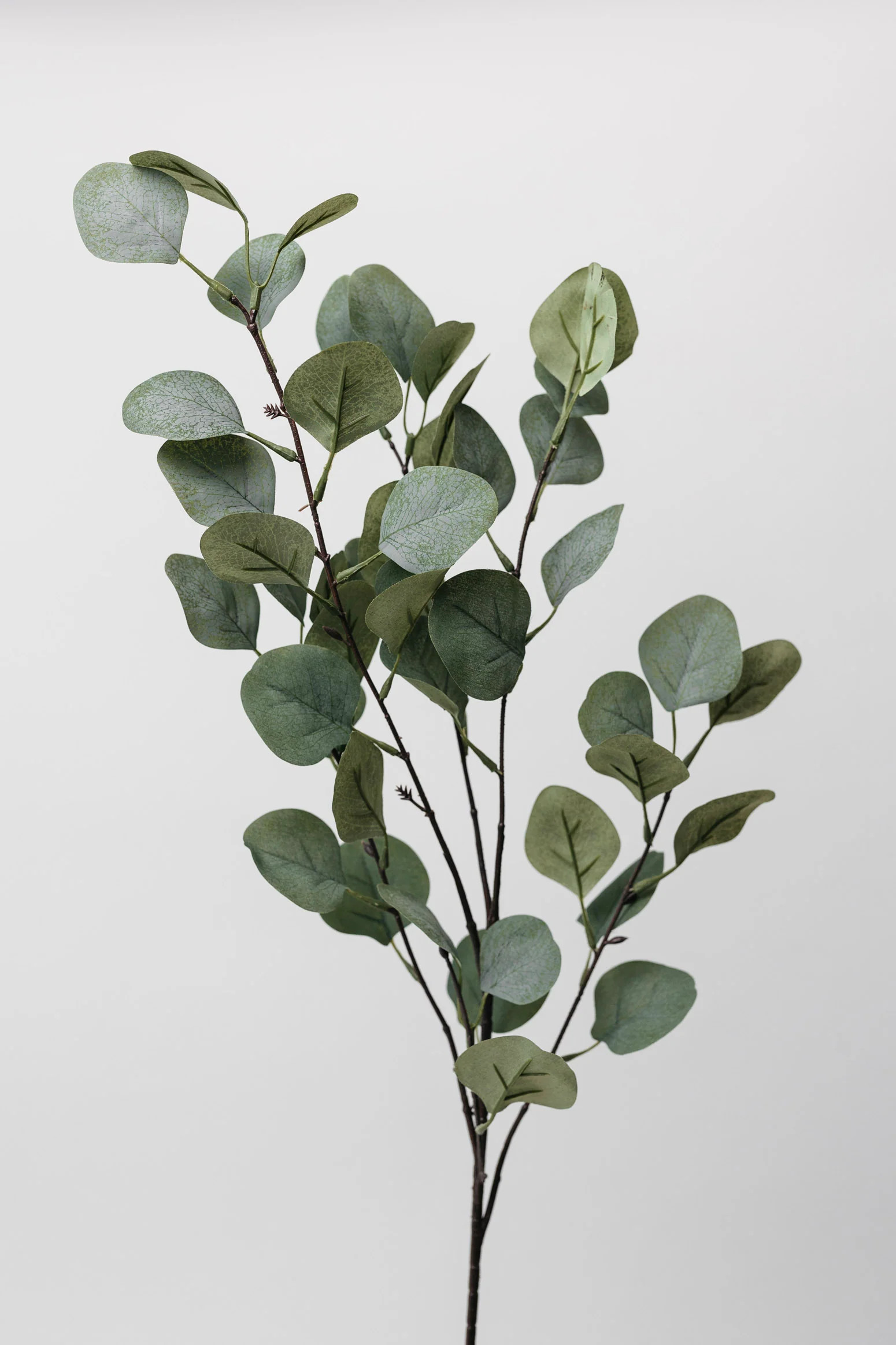 Trevor - Eucalyptus Spray - 35" - THELIFESTYLEDCO Shop | THELIFESTYLEDCO