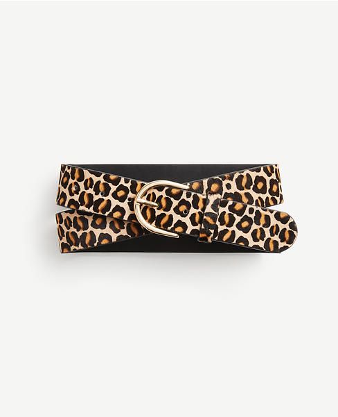 Wide Leopard Print Haircalf Trouser Belt | Ann Taylor (US)