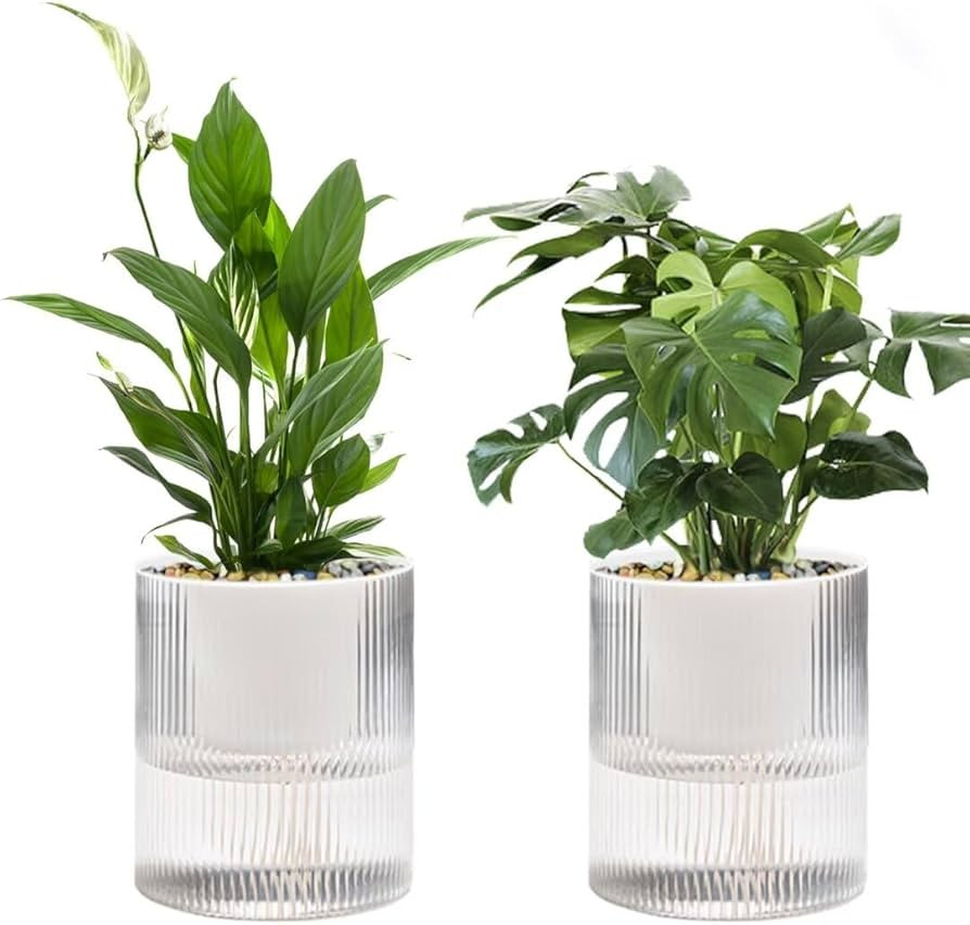 Self Watering Planter,Indoor Plants Pots for 6 Inch,2 Pack Clear White Plastic Flower Pot with Wi... | Amazon (US)