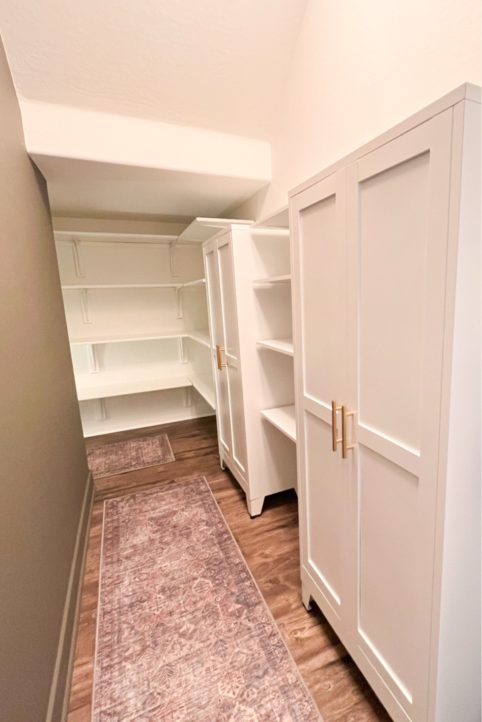 Closet makeover!! Pantry cabinet with gold handles, semi flush mount ceilings light gold, modern farmhouse lighting, vintage style rugs 

#LTKFindsUnder100 #LTKHome #LTKStyleTip