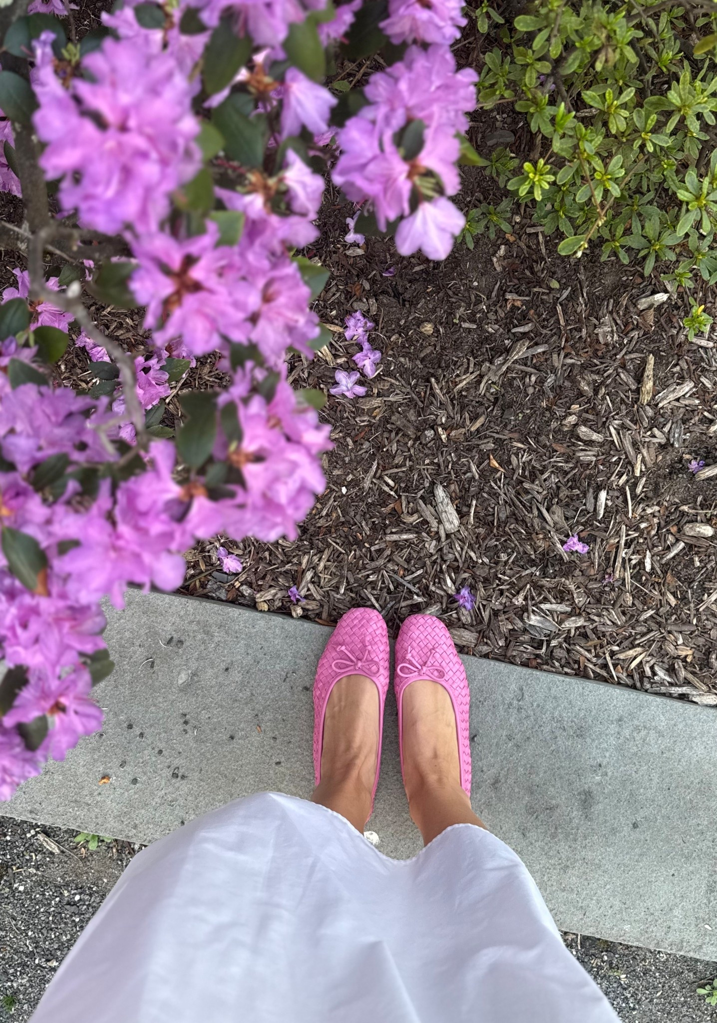 💗💗💗


#ad @stevemadden-us 
Ballet flats
Flats
Women’s shoes
Fun shoes
Spring style
Cool shoes
Pink flats
Pink shoes
Bottega dupe
Bottega lookalike
Girly shoes
Designer lookalike
Statement shoes
Summer outfit
Summer style
Spring outfit
White dress
Maxi dress
Long white dress
Maxi skirt
White skirt

#LTKootd