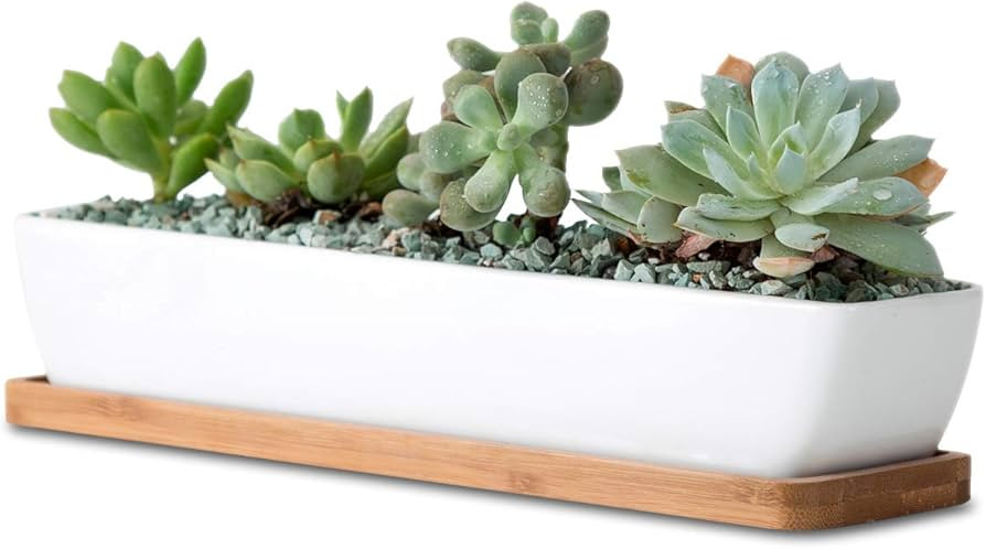 11inch Long Rectangle White Ceramic Succulent Planter Pots/Mini Flower Plant Containers with Bamb... | Amazon (US)