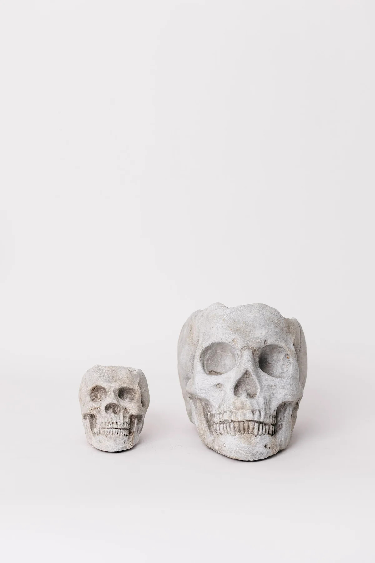 Midnight Skull Planter - 2 Sizes | THELIFESTYLEDCO