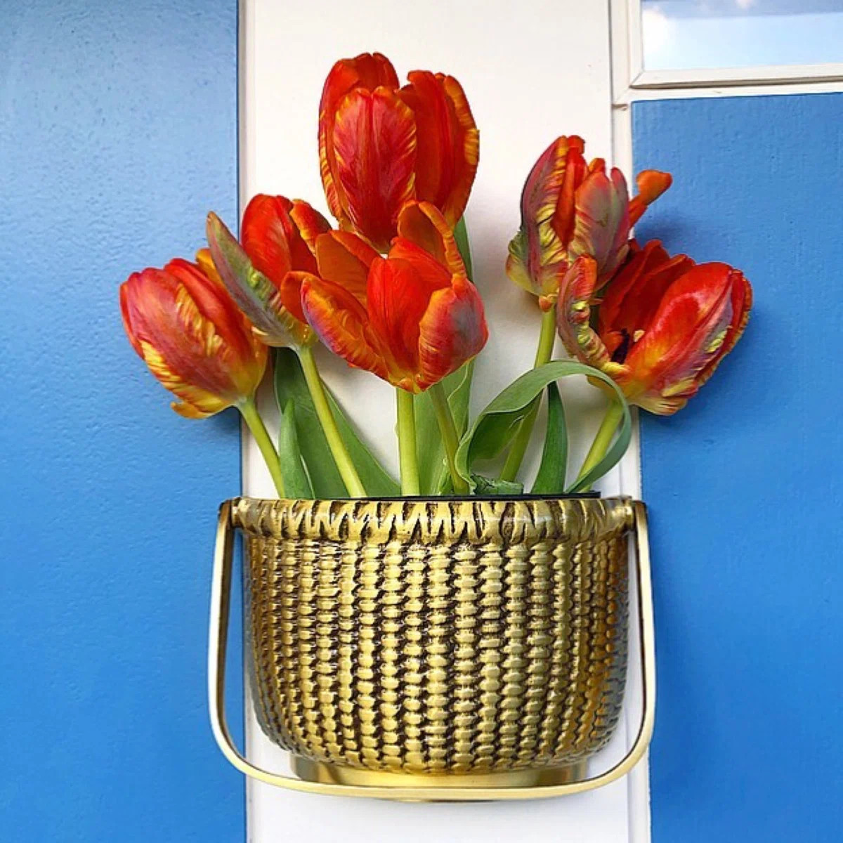Nantucket Basket Door Knocker | Wayfair North America