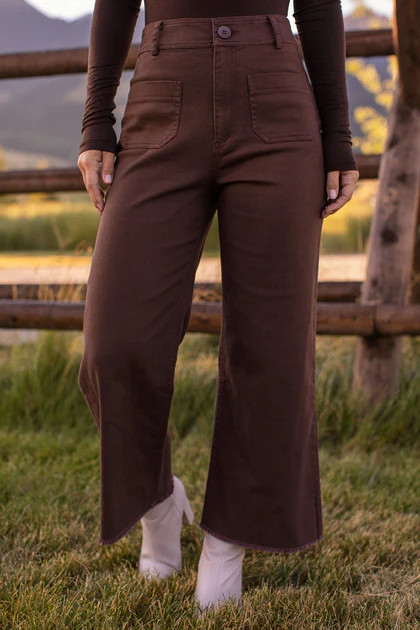 Lois Brown Wide Leg Pants | Shop Priceless