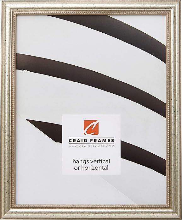 Craig Frames Stratton, 14x18 Picture Frame, Aged Pewter | Amazon (US)