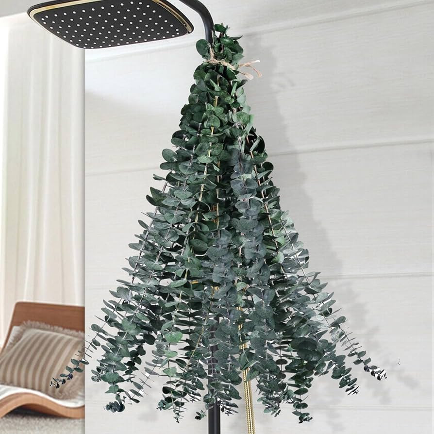 12 Pcs Dried Eucalyptus for Shower Hanging - 17'' Real Large Preserved Eucalyptus Stems Green Hom... | Amazon (US)