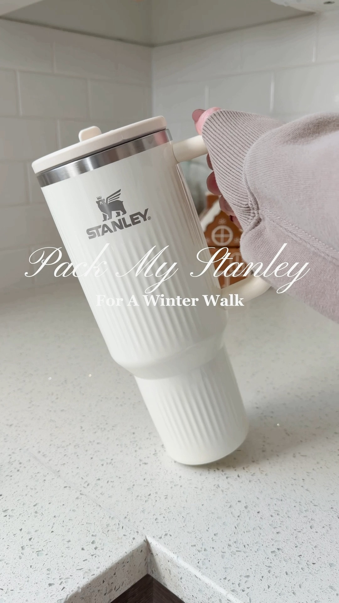 Pack My Stanley For A Winter Walk

#LTKGiftGuide #LTKHoliday #LTKmorningroutine