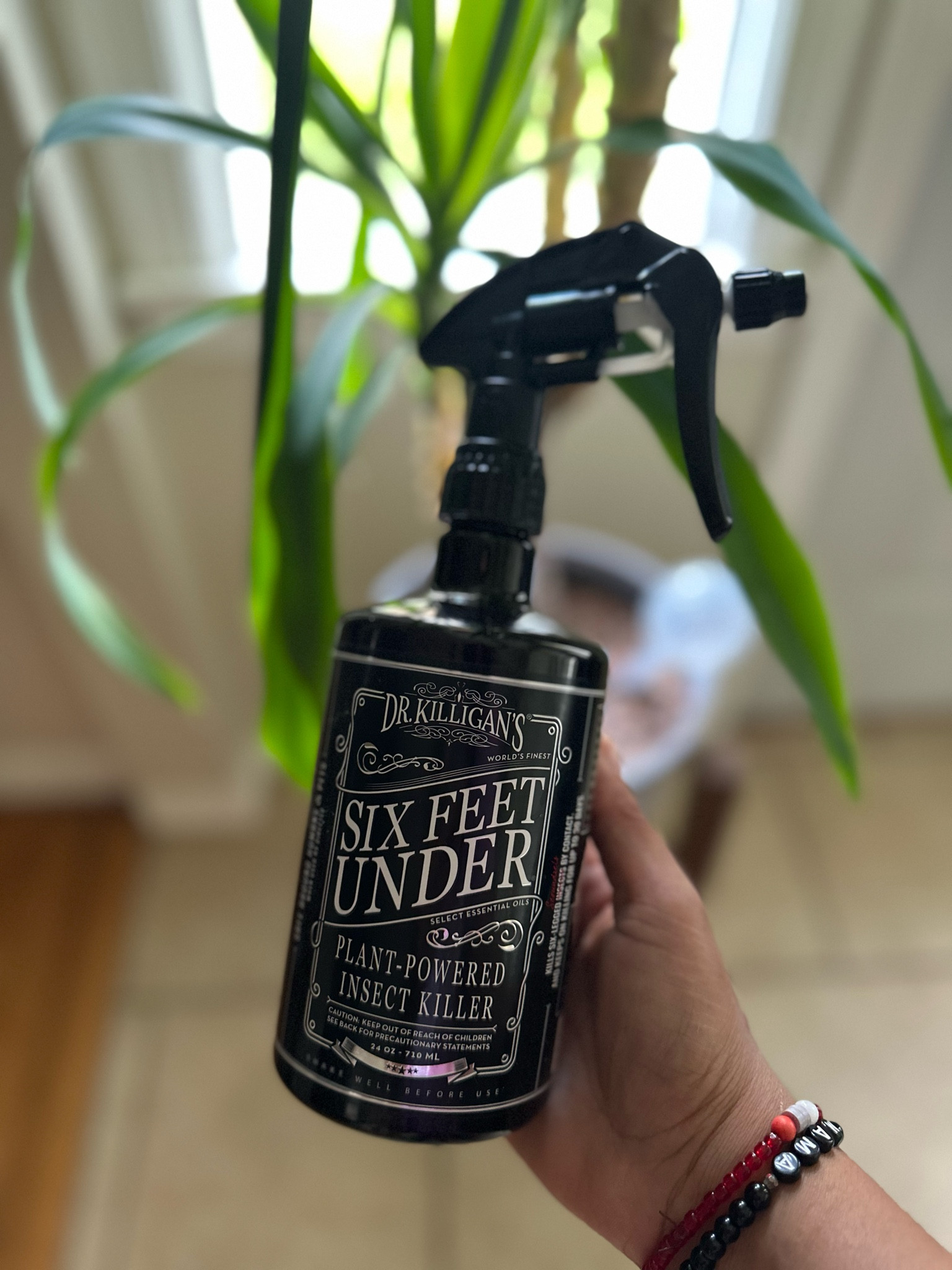 ✨Holy grail pest control! 

#LTKFindsUnder50 #LTKHome