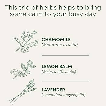 Traditional Medicinals Organic Chamomile with Lavender Herbal Tea, 16 Count Teabags (Pack of 1) | Amazon (CA)