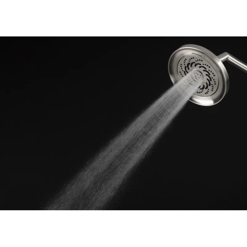 VS-5000-E2 Neo Exhilaration 1.5 Gpm Handheld Shower Head in , 2.0 | Wayfair North America