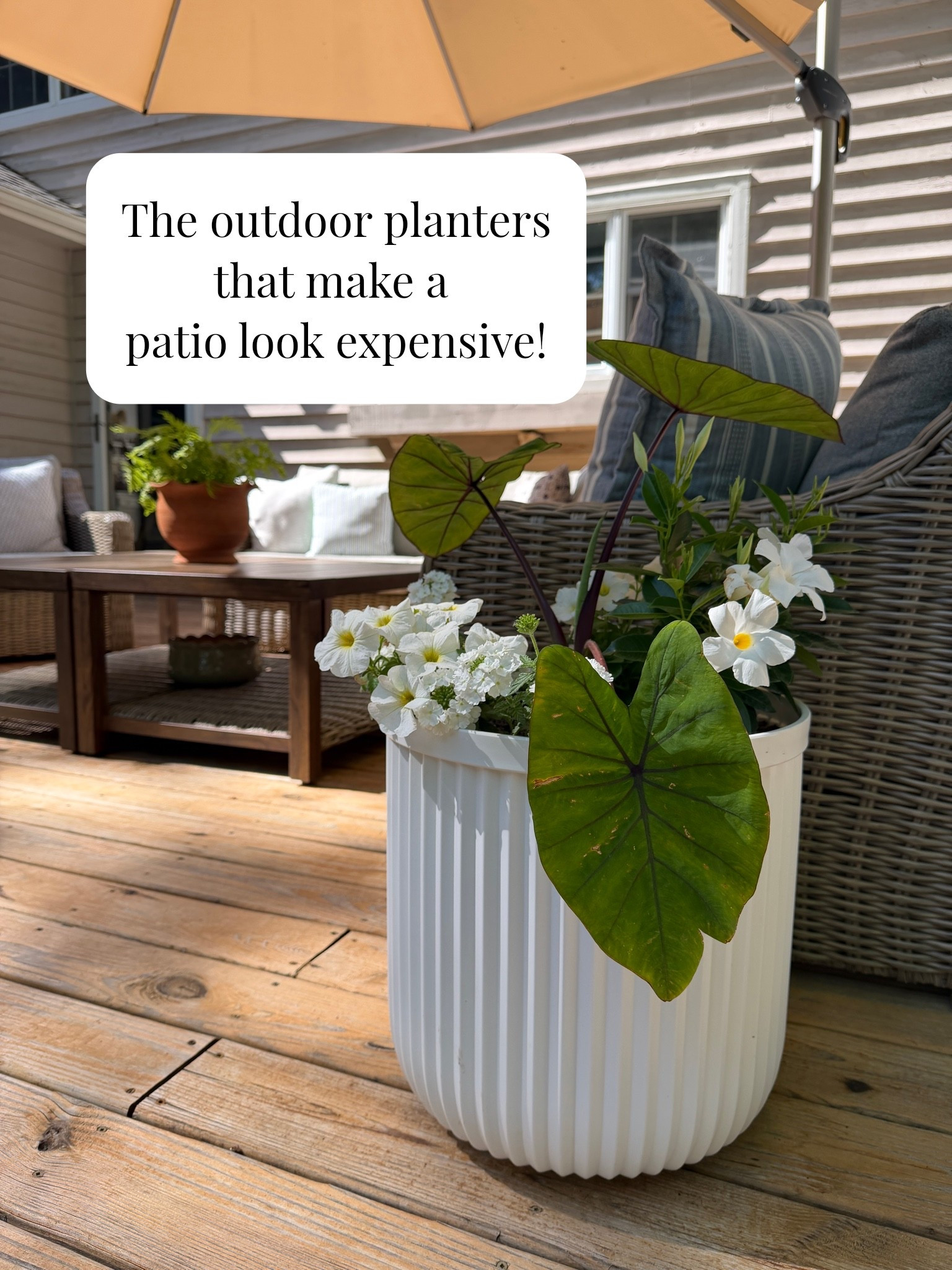 Outdoor planters are one of the easiest ways to make a porch or patio feel more finished and high-end without a huge investment. Rounded up some of my favorite outdoor planters that add height, texture, and that collected designer look for summer.



outdoor planters, large outdoor planters, patio planters, amazon outdoor planters, modern outdoor planters, front porch planter ideas, oversized planters, affordable outdoor decor, patio decorating ideas, outdoor living space, neutral outdoor decor, luxury look for less, backyard patio ideas, high end outdoor decor on a budget

#LTKHome