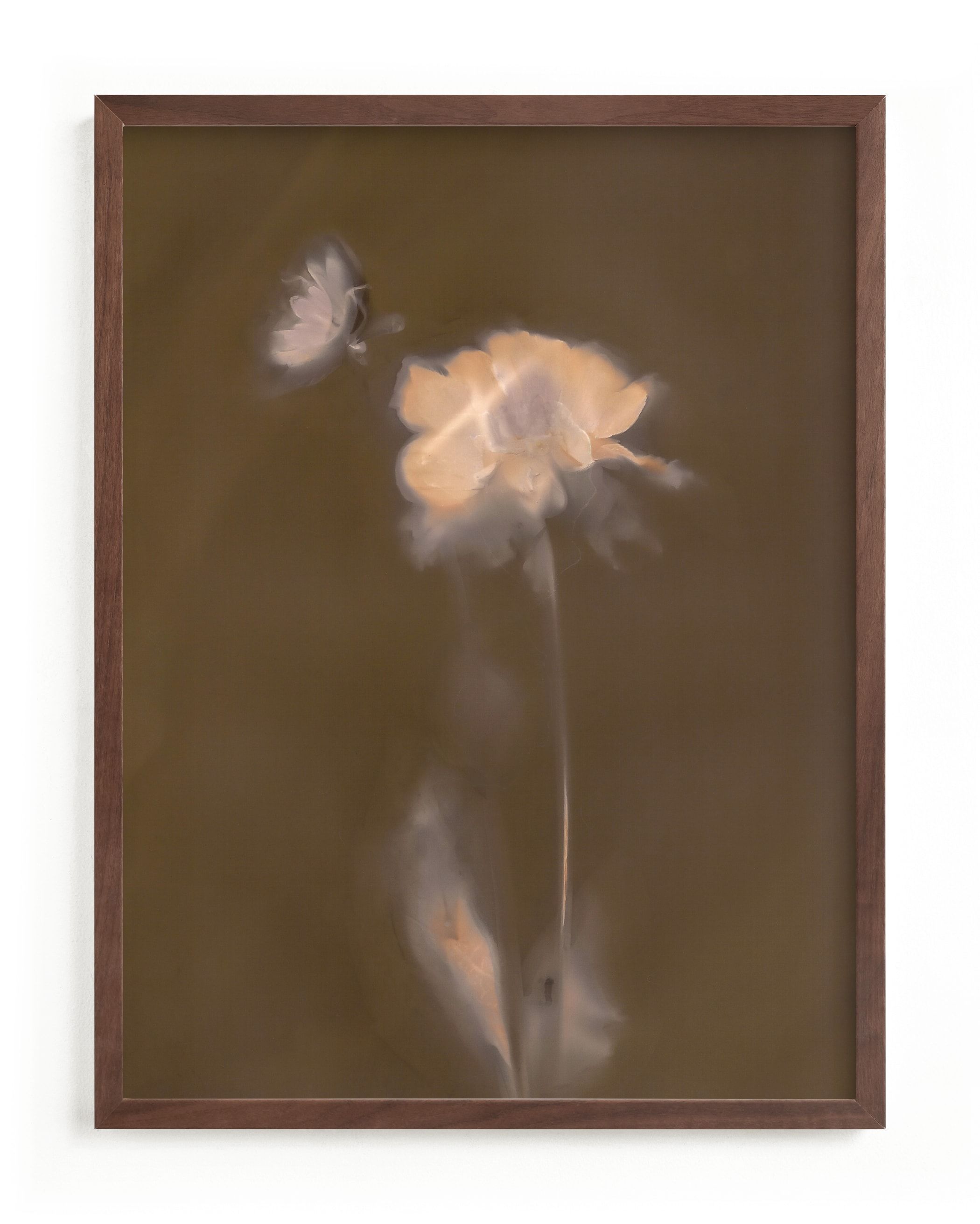 "Single Dahlia Flower" - Photography Limited Edition Art Print by Sarah Hart Morgan. | Minted