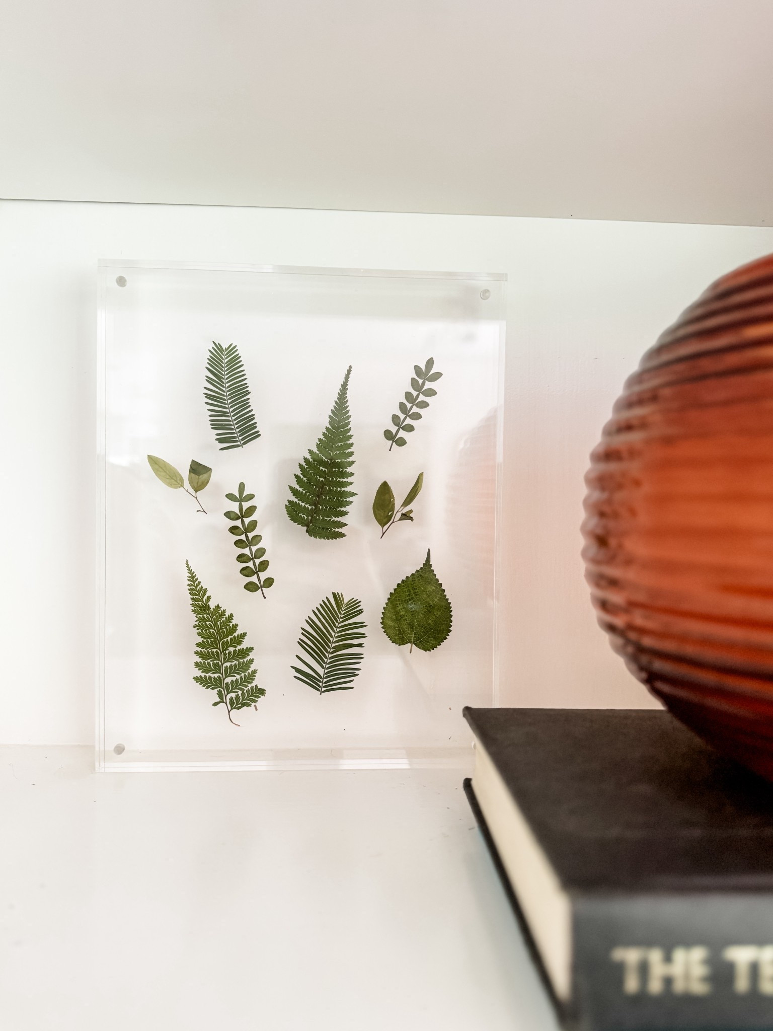 Easy DIY Art Idea! I ordered these pressed botanicals from Amazon and paired them with some of my favorite frames. For the matted frame, I wanted the botanical to pop so I layered it on top of some leftover grasscloth wallpaper that I had from another project. Both frames turned out so pretty and the finished product is a fraction of the cost of what I’ve seen in some home decor shops.

pressed botanicals, botanical wall art, DIY botanical art, framed pressed botanicals, Amazon pressed botanicals, found it on Amazon, Amazon home decor find, botanical wall decor, DIY art project, affordable wall art, easy DIY home decor, budget friendly art idea, botanical frame art, grasscloth wallpaper art, matted botanical print, gallery wall botanicals, custom framed botanicals, nature inspired wall art, DIY framed artwork, Amazon art supplies, botanical print decor, DIY home project, botanical decor Amazon, inexpensive wall art, wall art on a budget, botanical wall prints, botanical picture frame, layering art with wallpaper, grasscloth frame background, Amazon craft find, home decor DIY, botanical gallery wall, organic modern wall art, botanical home accents, timeless botanical prints, DIY budget decor, art idea under $50, botanical frame styling, pressed flower wall art, botanical accent wall, simple DIY art, frame your own art, inexpensive home styling

#LTKHome #LTKStyleTip #LTKFindsUnder50