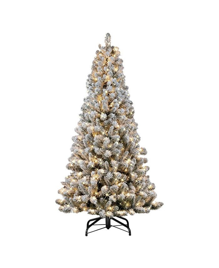 Puleo 6.5 | Macys (US)