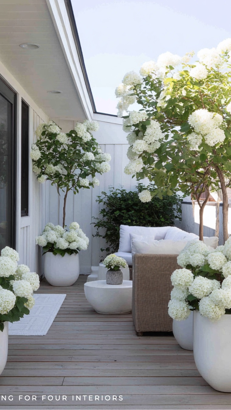 Outdoor patio glow up with chic furniture and planters! 
Outdoor rug, outdoor sofa and chair set, outdoor planter, plant pot, organic modern, neutral aesthetic, minimalist, courtyard, outdoor decor, backyard, summer, Restoration Hardware style, Crate & Barrel home, Amazon home, Wayfair, Target

#LTKsummer #LTKhome #LTKsale