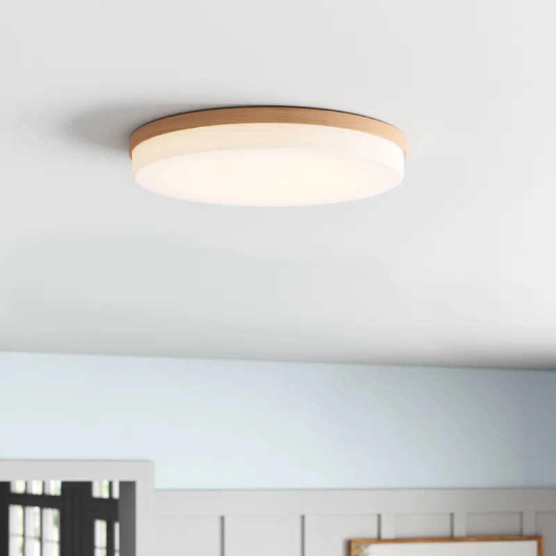 Wade Logan® Trotman 1 - Light 14.96" LED Flush Mount & Reviews | Wayfair | Wayfair North America