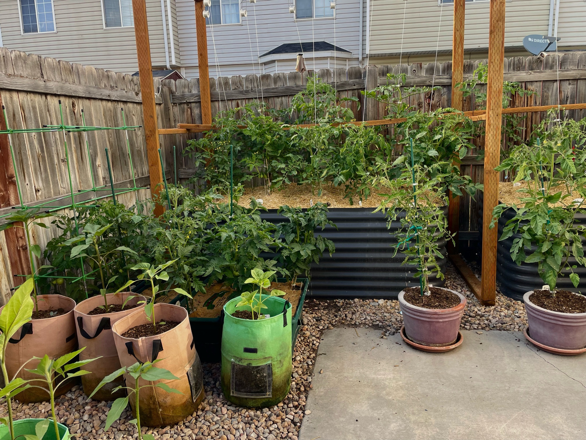 My recommended containers for gardening:
1. Galvanized steel bed
2. Grow bags
3. Grow box

#LTKHome