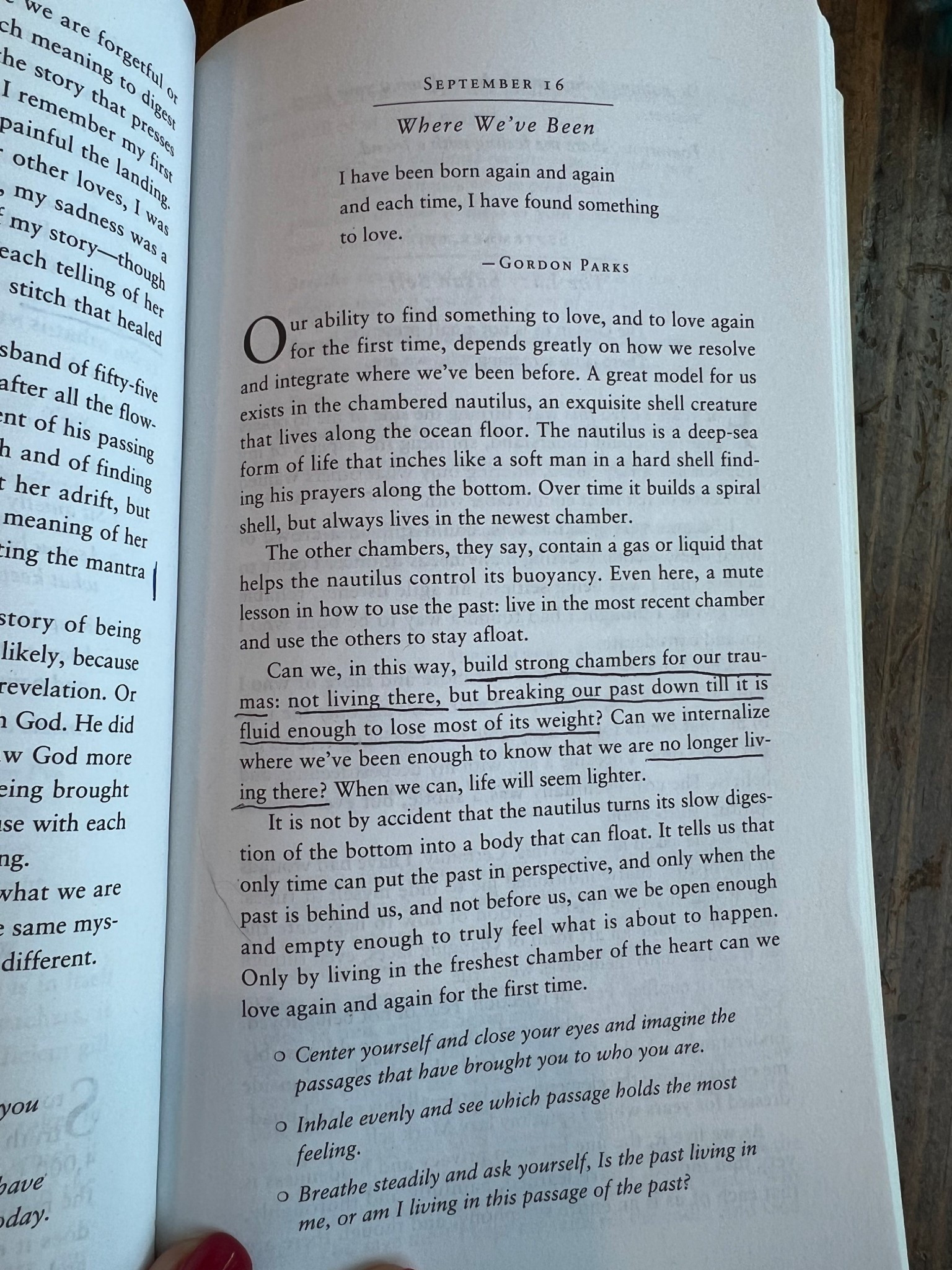 This book is so good for the soul.

#LTKU #LTKFamily #LTKHome