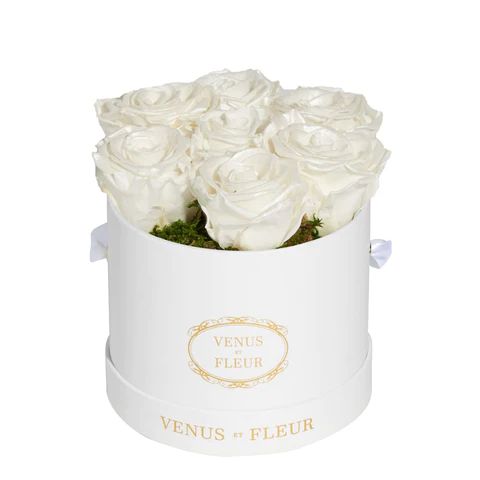 Le Petit Round | Venus ET Fleur