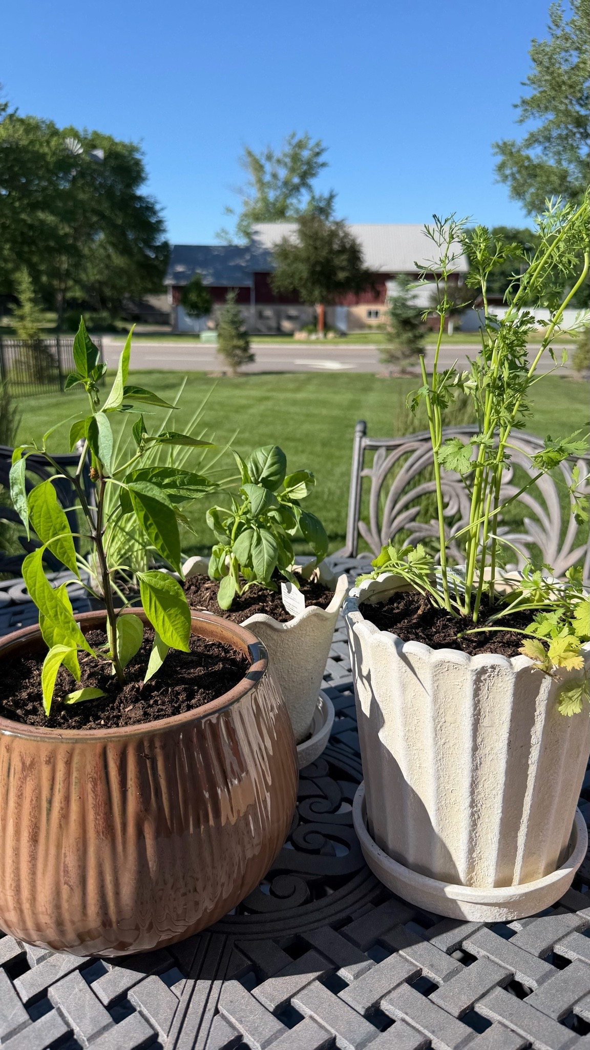 Walmart planter pots. My Texas House 8 Inch Shell Planter Cream Ceramic Indoor Outdoor Flower Pot #planterpots #outdoorplanters #walmartfinds #outdoor #patio