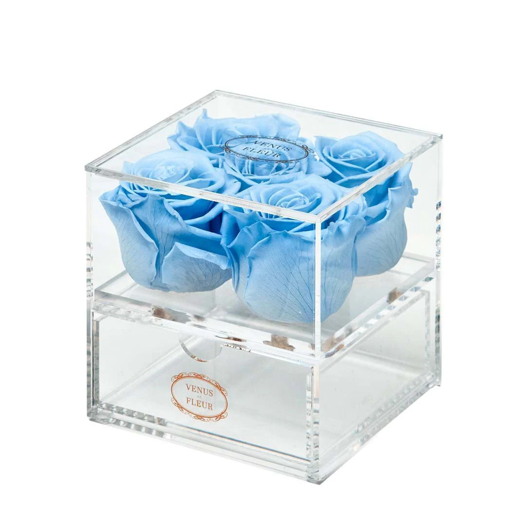 Le Clair Cinq | Venus ET Fleur