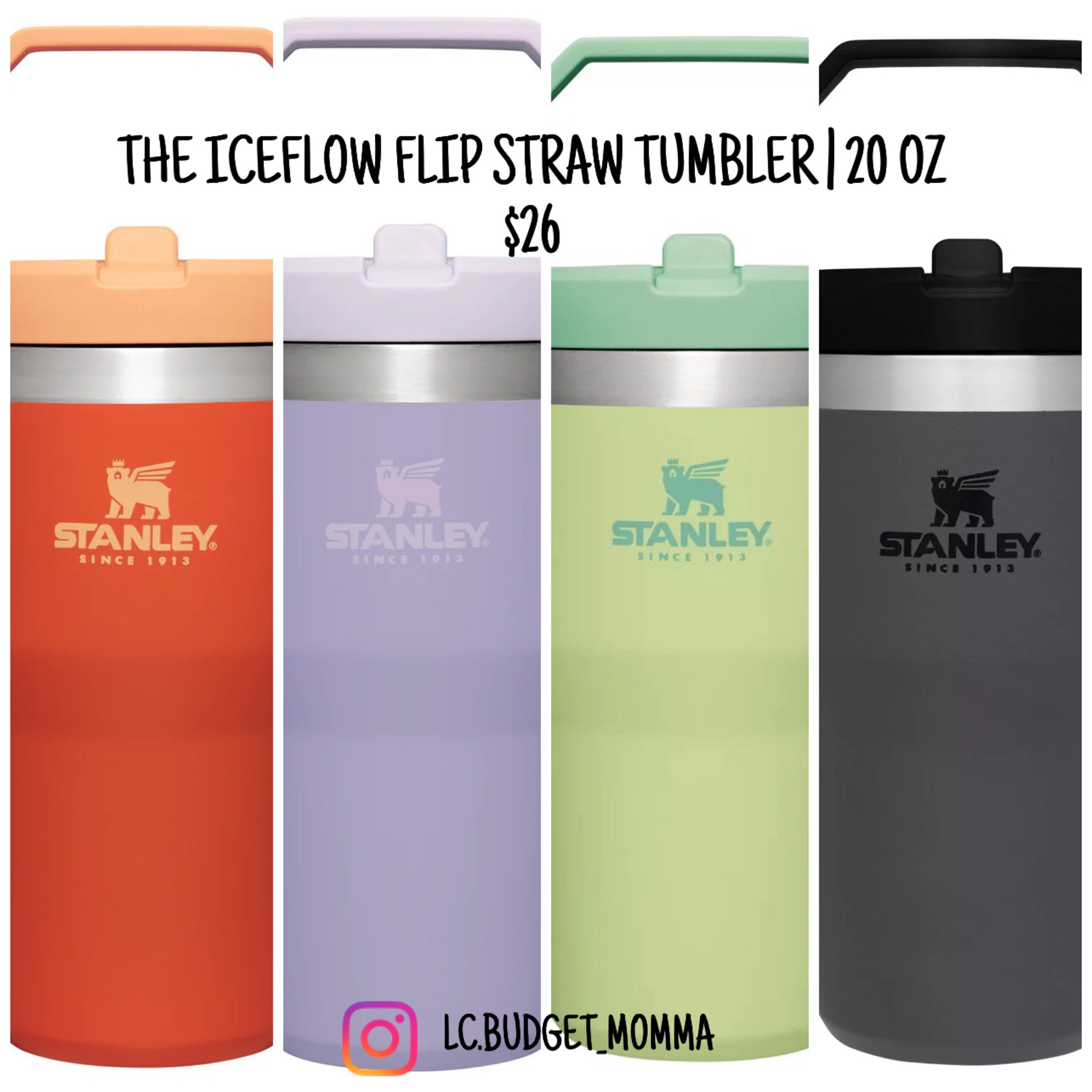 Stanley IceFlow Straw Tumbler - 20 fl. oz.