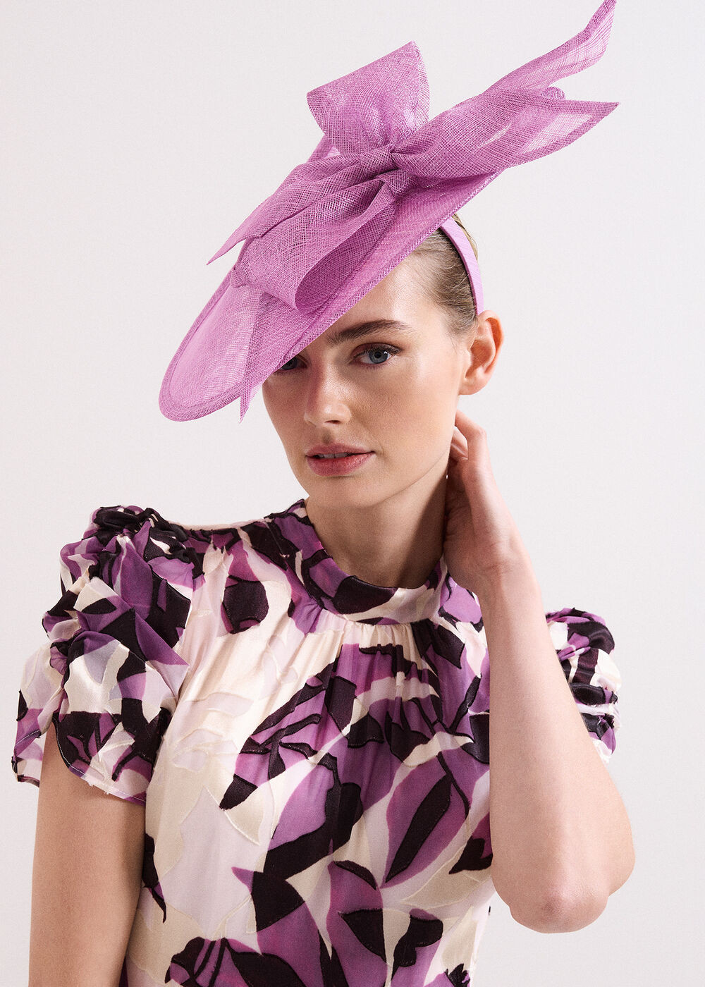 Bow Disc Fascinator | Phase Eight UK | | Phase Eight